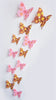 Image of FoodyMine 12Pcs PVC 3D Wonderful Art Butterfly Design Wall Stickers Decals Home Decor Poster for Rooms wedding wall Decorations